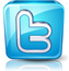 Twitter Button
